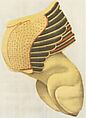 Limestone statue of a sphinx, Limestone, Greek, Attic